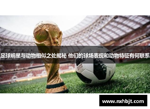 足球明星与动物相似之处揭秘 他们的球场表现和动物特征有何联系
