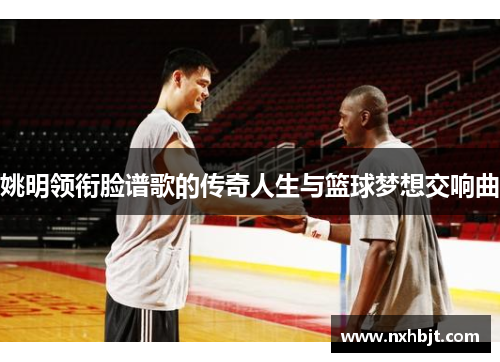 姚明领衔脸谱歌的传奇人生与篮球梦想交响曲